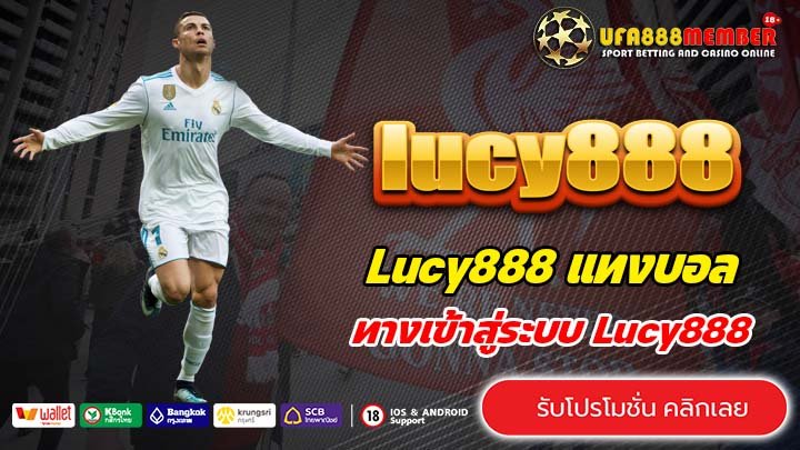 Lucy888